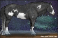 Horse Color:Black Splash Frame Brindle