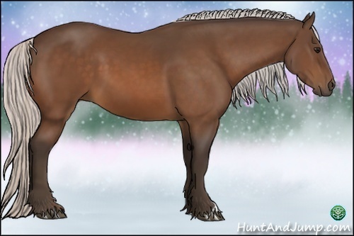 Horse Color:Silver Bay 