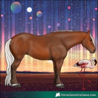 Horse Color:Silver Bay 