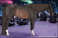 Horse Color:Brown Rabicano Brindle