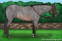 Horse Color:Brown Roan Rabicano Brindle
