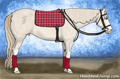 Horse Color:White Spotted Perlino Rabicano Brindle