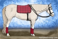 Horse Color:White Spotted Perlino Rabicano  Brindle