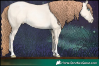 Horse Color:Sable Cream Champagne Pearl Dun 
