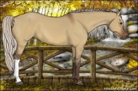 Horse Color:Silver Bay Dun
