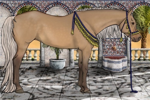 Horse Color:Silver Bay Dun 