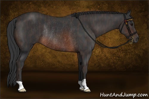 Horse Color:Brown Rabicano  Brindle