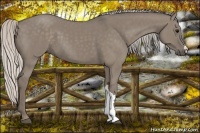 Horse Color:Silver Grullo 