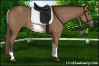 Horse Color:White Spotted Liver Chestnut Sabino 