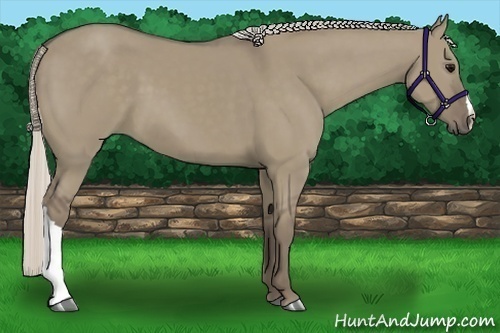 Horse Color:Silver Grullo 