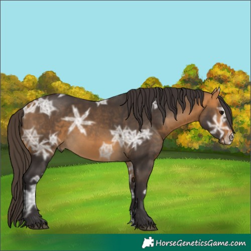 Horse Color:Buckskin Ice 