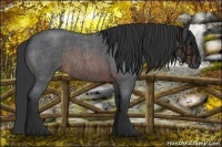 Horse Color:Brown Roan