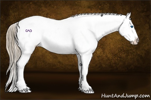 Horse Color:Liver Chestnut Frame Appaloosa 