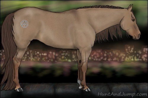 Horse Color:Liver Red Dun Roan 