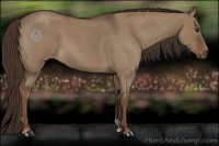 Horse Color:Liver Red Dun Roan 