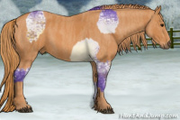 Horse Color:Watercolor Brown Ice  Brindle