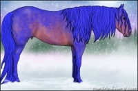 Horse Color:Watercolor Brown Brindle