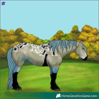 Horse Color:ERROR: UNKNOWN ANOMALY Brindle