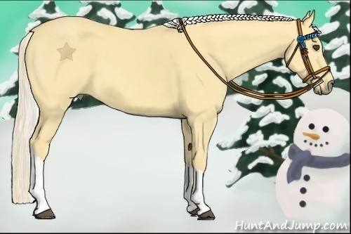 Horse Color:Palomino Dun Tobiano 