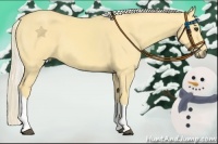 Horse Color:Palomino Dun Tobiano