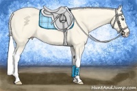 Horse Color:Silver Perlino Dun Sabino Tobiano