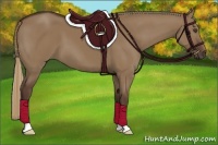 Horse Color:Liver Red Dun