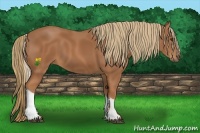 Horse Color:Chestnut Tobiano