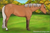Horse Color:Silver Bay Tobiano