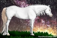 Horse Color:Gold Champagne Snowcap 