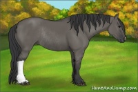 Horse Color:Grullo Rabicano 