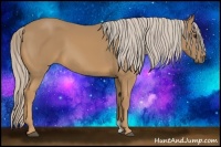 Horse Color:Palomino 