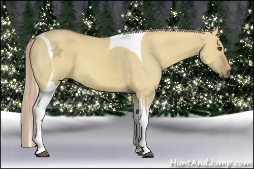 Horse Color:Palomino Dun Tobiano 