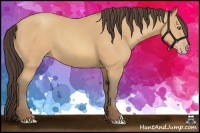 Horse Color:Amber Champagne 