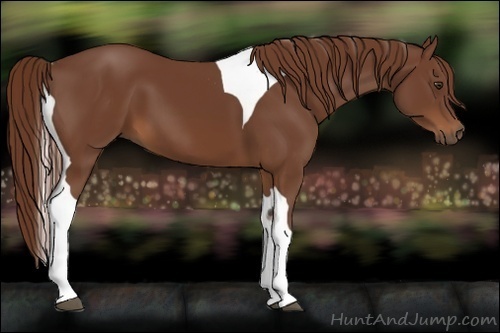 Horse Color:Chestnut Tobiano 