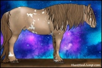Horse Color:White Spotted Liver Chestnut Pearl 
