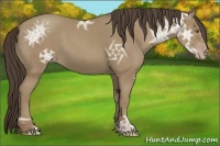 Horse Color:Classic Cream Champagne Ice 