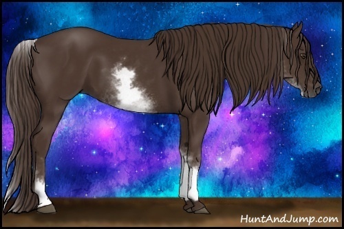 Horse Color:White Spotted Liver Chestnut 