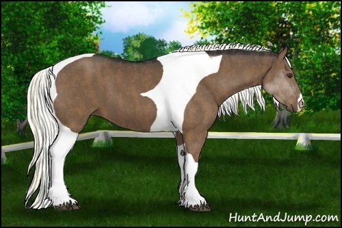 Horse Color:Liver Chestnut Tobiano  Brindle