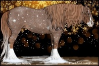 Horse Color:Red Roan Splash 