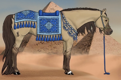 Horse Color:Liver Red Dun 