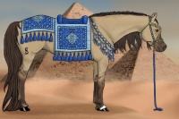 Horse Color:Liver Red Dun 