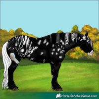 Horse Color:ERROR: UNKNOWN ANOMALY