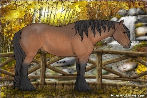 Horse Color:Buckskin Roan 