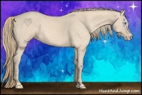 Horse Color:Perlino 