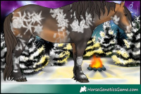 Horse Color:Buckskin Ice 
