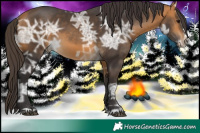 Horse Color:Buckskin Ice 