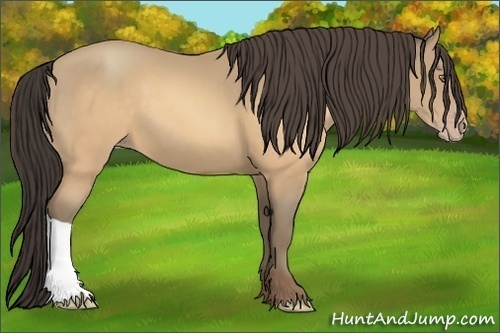 Horse Color:Sable Cream Champagne 