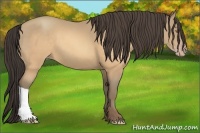 Horse Color:Sable Cream Champagne