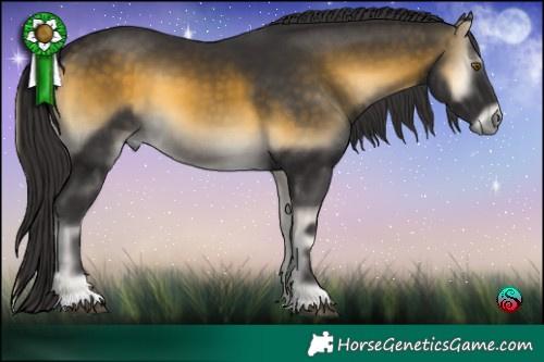 Horse Color:Buckskin Onyx 