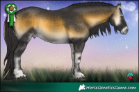 Horse Color:Buckskin Onyx 